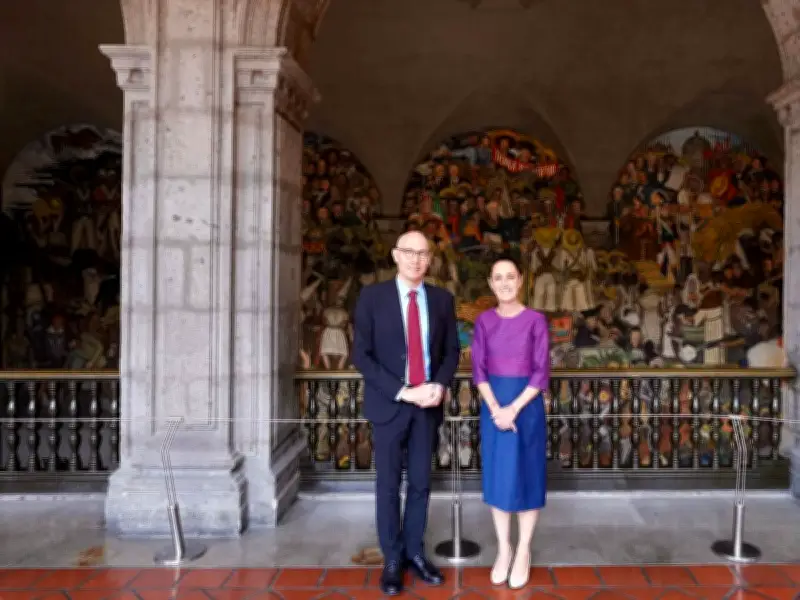 Crítica a la política exterior mexicana: incomprensión y contradicciones