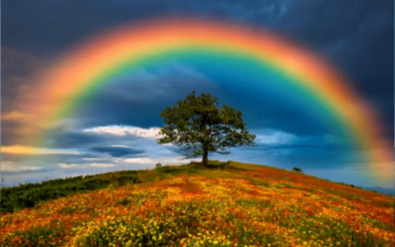Día del Arcoíris: Celebración de un Fenómeno Natural y su Impacto Científico