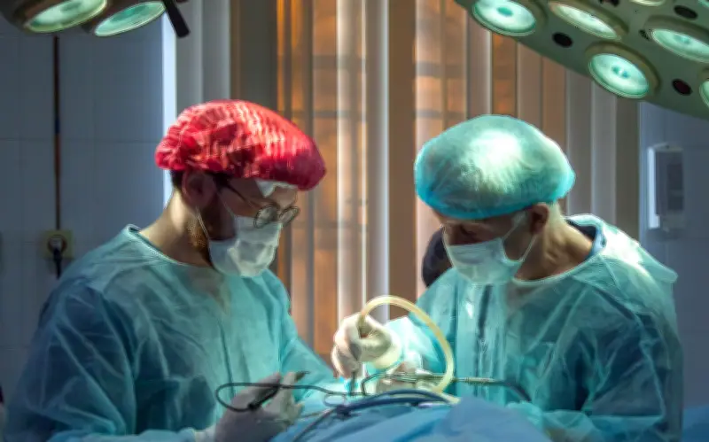 Día Mundial de la Salud 2026: Un recordatorio global sobre el bienestar físico y mental