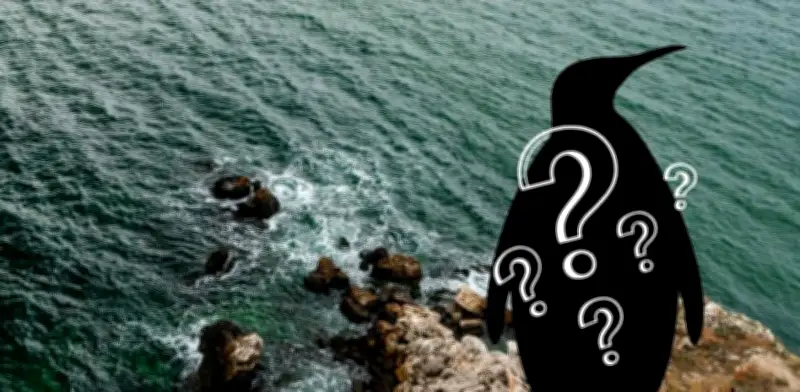 Día Mundial de los Pingüinos: el Megadyptes antipodes, el más raro