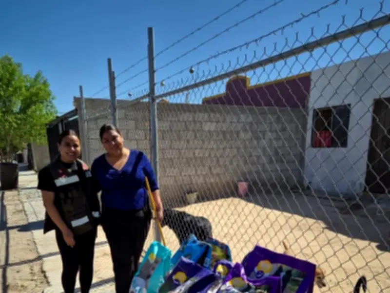 DABA distribuye más de 4 toneladas de alimento a refugios animales tras exitosa carrera