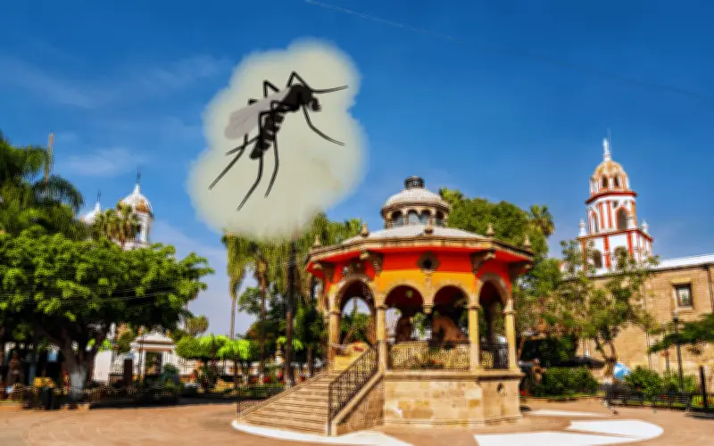 Dengue en Guadalajara: ¿Cuándo llegan los mosquitos y cómo protegerte?