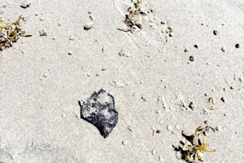 Derrame de Chapopote Contamina Isla del Padre y Costas de Matamoros