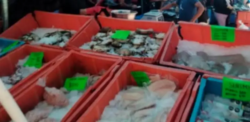 Derrame de Hidrocarburo Hunde Venta de Mariscos en Veracruz en Semana Santa