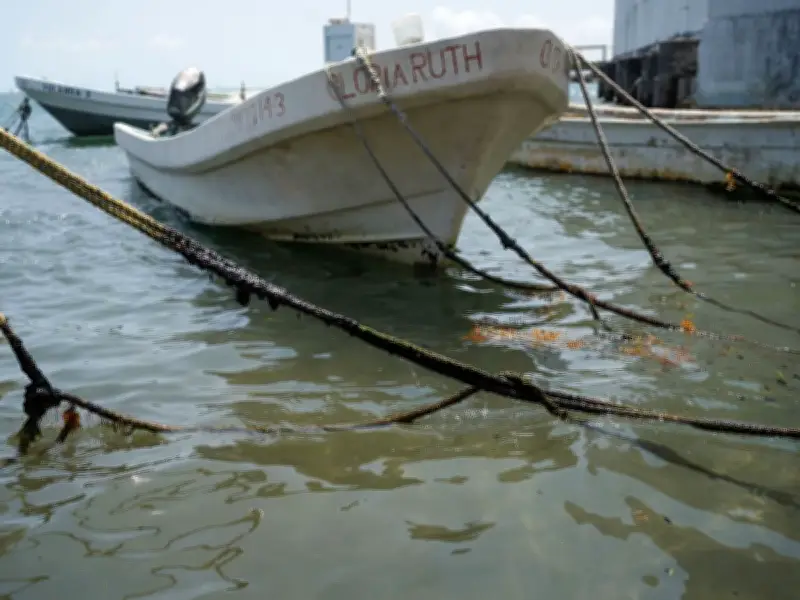 Derrame de hidrocarburos afecta pesca en Veracruz, Tabasco y Tamaulipas