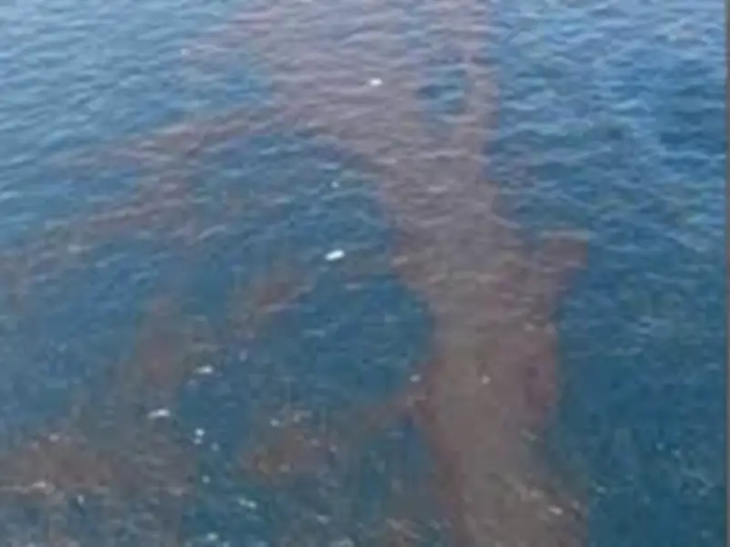 Derrame petrolero en el Golfo: 51 sitios costeros afectados y una crisis de agua