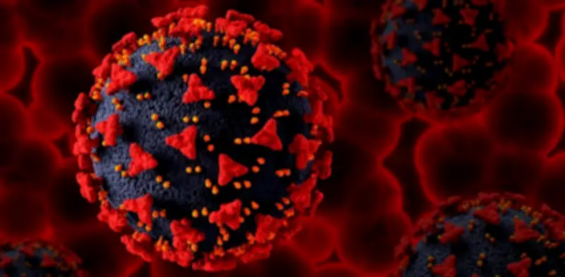 Desaparición de muestras virales en universidad brasileña expone fallas críticas de bioseguridad