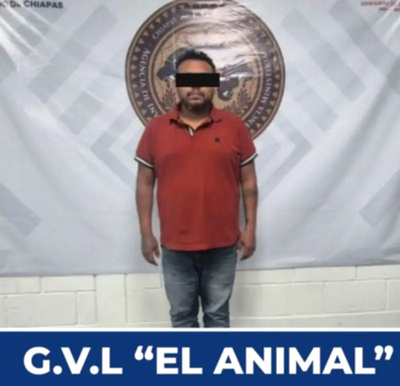 Desarticulan banda criminal que asaltaba cuentahabientes en Oaxaca y Chiapas