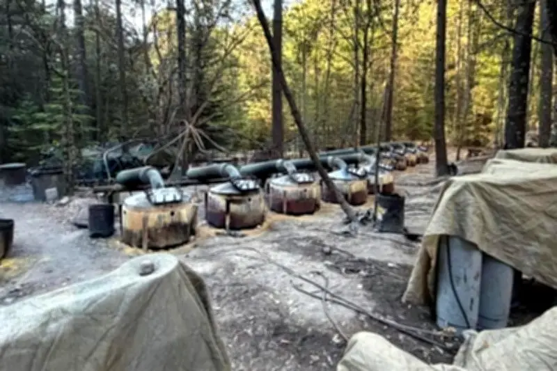 Descubren Red de Narcolaboratorios en Chihuahua: Impacto en Seguridad y Salud