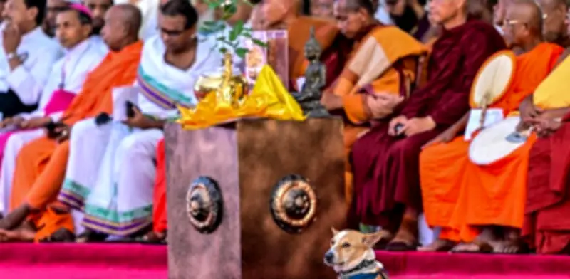 Detienen a 22 monjes budistas con más de 100 kilos de droga en Sri Lanka