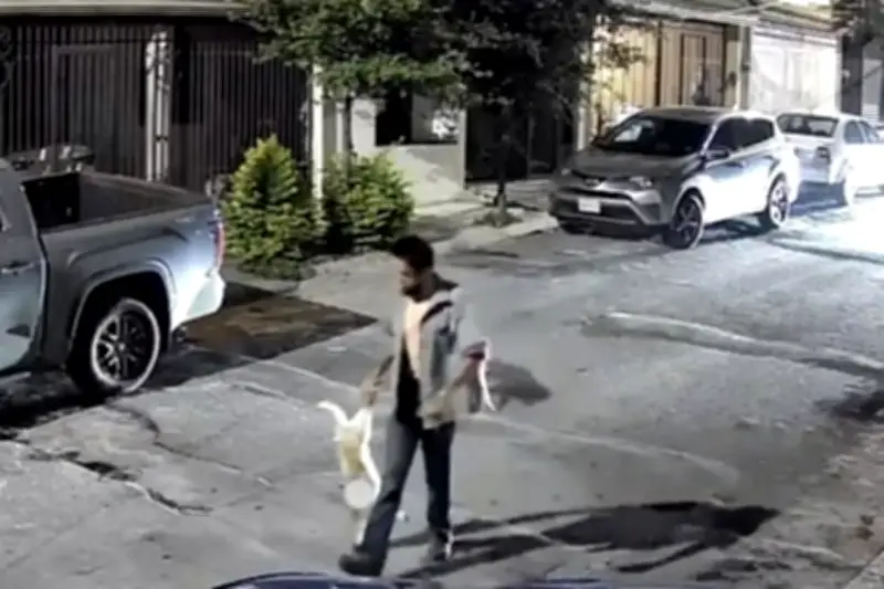 Detienen a hombre por matar a su perro en la CDMX