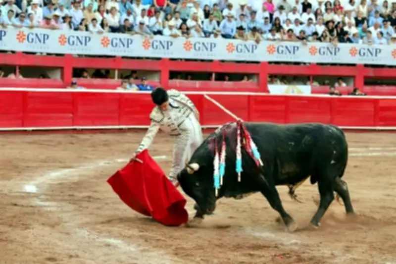 Doble triunfo en la Monumental Monterrey