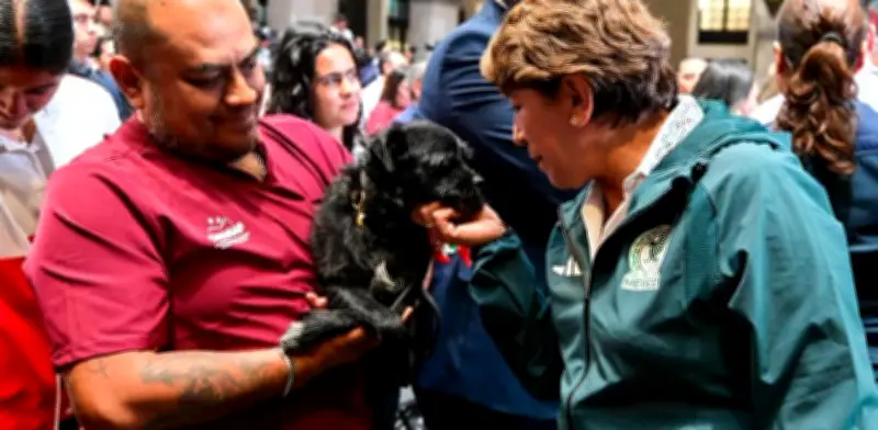 Edomex prohíbe venta de perros y gatos en vía pública con multas severas