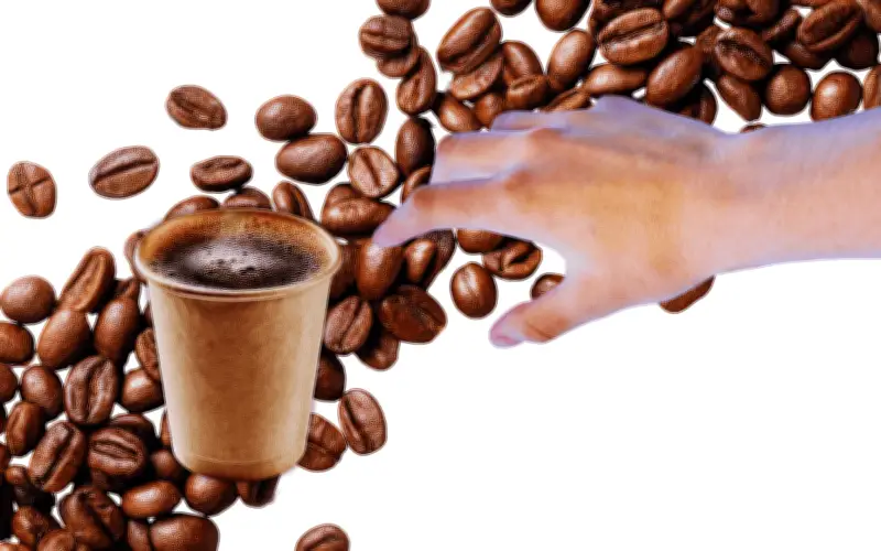 El café en ayunas: ¿Mito o realidad sobre el daño estomacal?