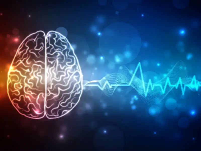 El entorno físico y social determina la velocidad del envejecimiento cerebral, revela estudio internacional