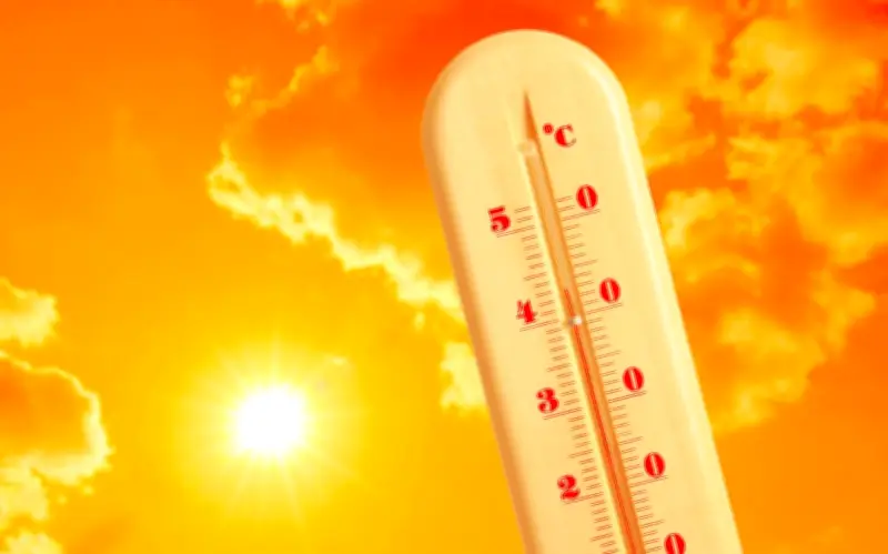 El Niño fuerte: pronostican calor intenso en los próximos meses