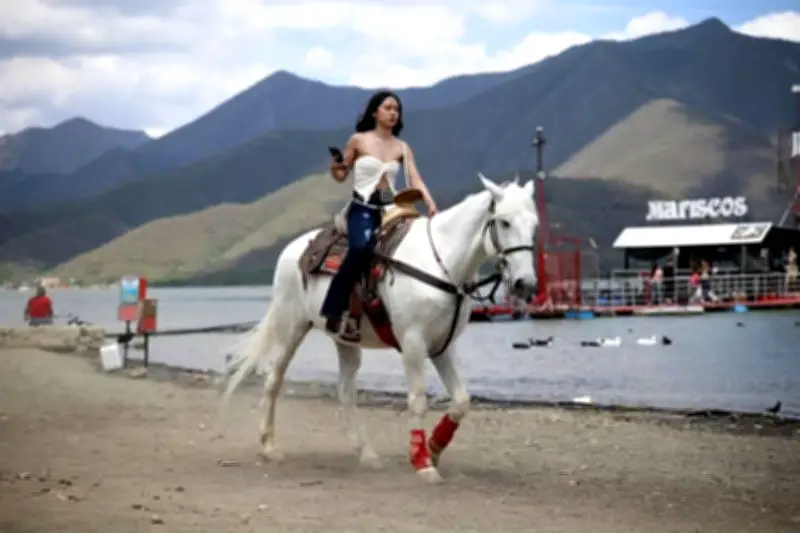 El Norte: Análisis de la Corrupción y la Gobernabilidad en México