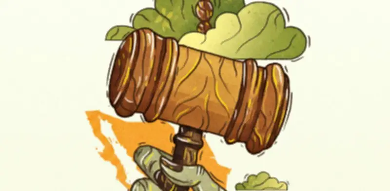 El Sistema Nacional Anticorrupción es una 'Política Zombie', afirma especialista