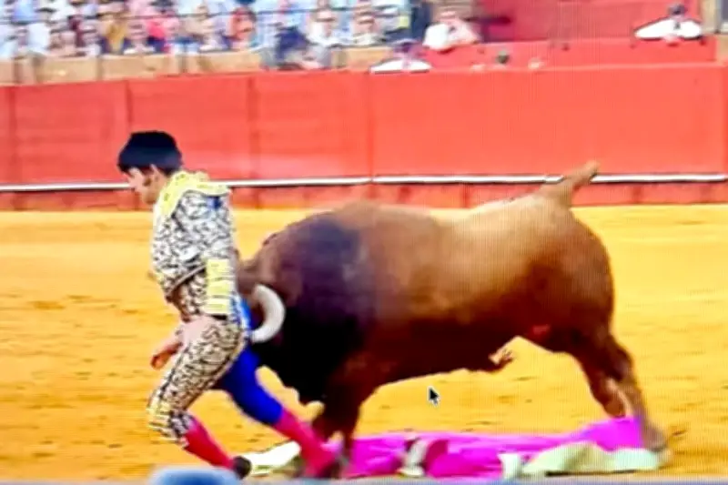 El torero Morante de la Puebla sufre grave cornada en la Feria de Sevilla