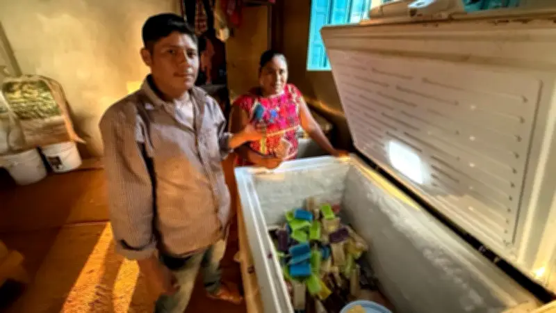 Emprendedores de Cochoapa el Grande, Guerrero, generan ingresos sin migrar