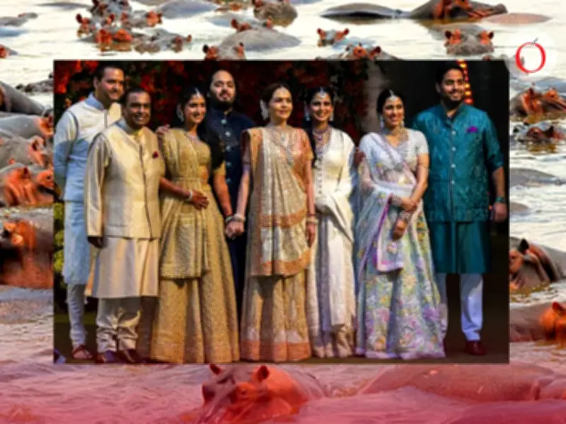 Empresario indio ofrece trasladar 80 hipopótamos de Pablo Escobar a la India