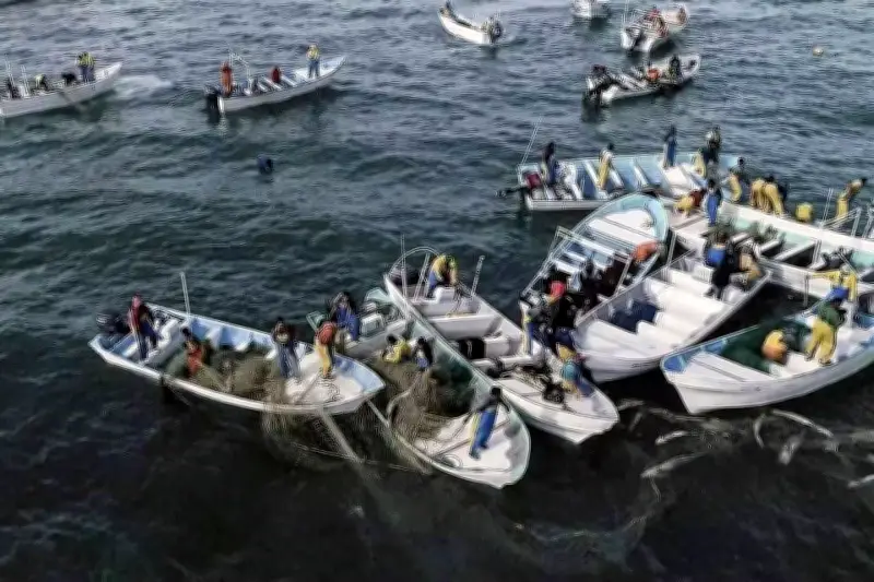 Estados Unidos Acusa a México de Prácticas Ilegales en Pesca y Tala de Madera