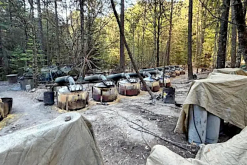 EU agents without permits: Mexican govt