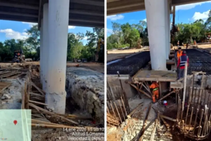 Exhiben Reforzamiento de Pilotes en el Tren Maya: Obras en Progreso