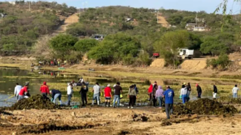 Exigen a alcalde de Huajuapan limpiar presa de Yosocuta por plaga de lirio y denuncian riesgos sanitarios