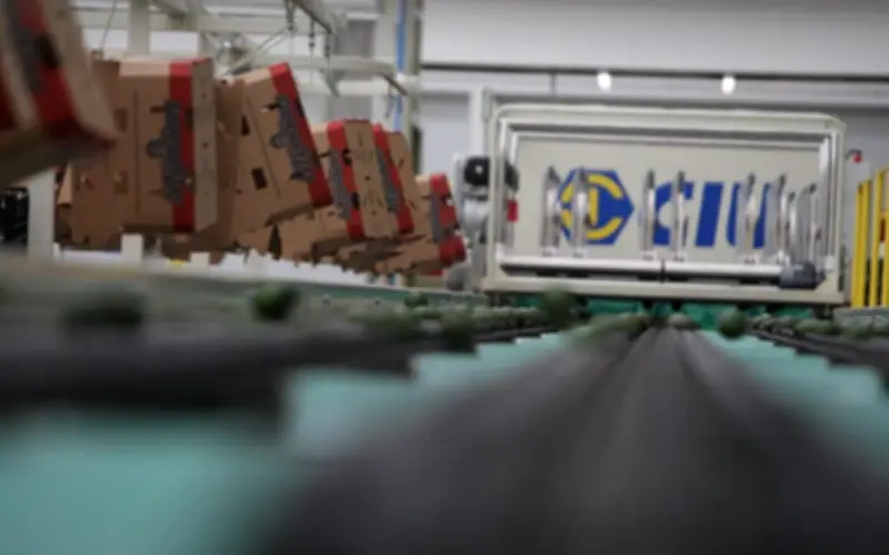 Exportaciones de México crecen 27.7% pero hay déficit comercial en primer trimestre