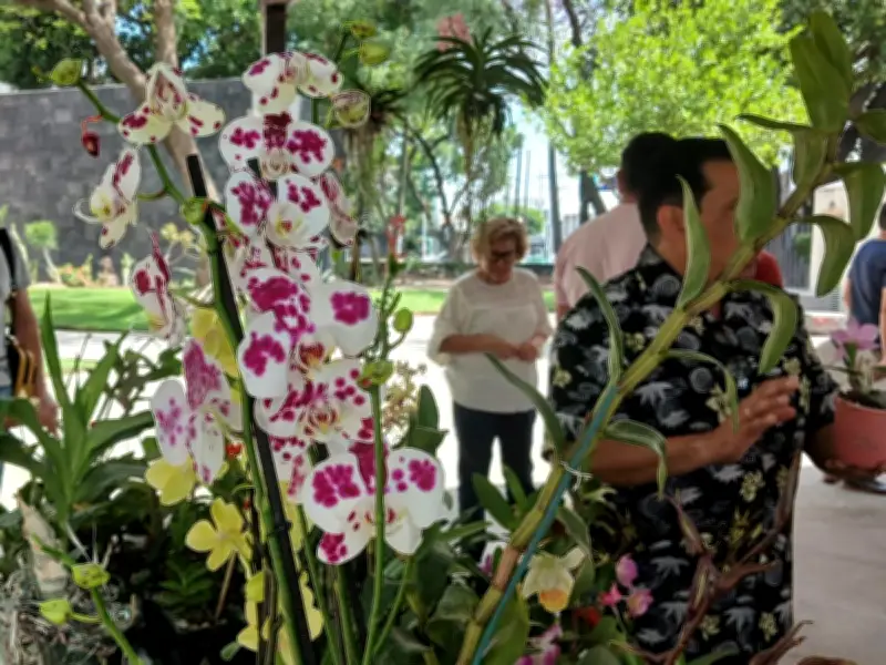 Exposición de orquídeas en museo paleontológico destaca su valor biológico y terapéutico