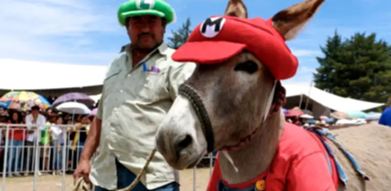 Feria del Burro 2026 en Otumba: Cartel con La Arrolladora y eventos únicos