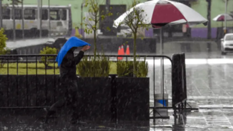 Frente Frío 43 Impacta México: Lluvias, Vientos y Heladas en Múltiples Estados
