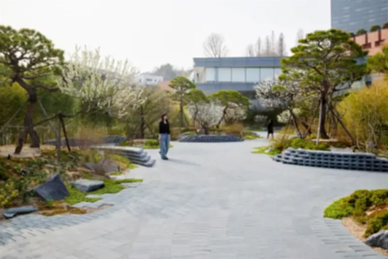 Gabriel Orozco siembra escultura viva en Seúl, fusionando arte y naturaleza