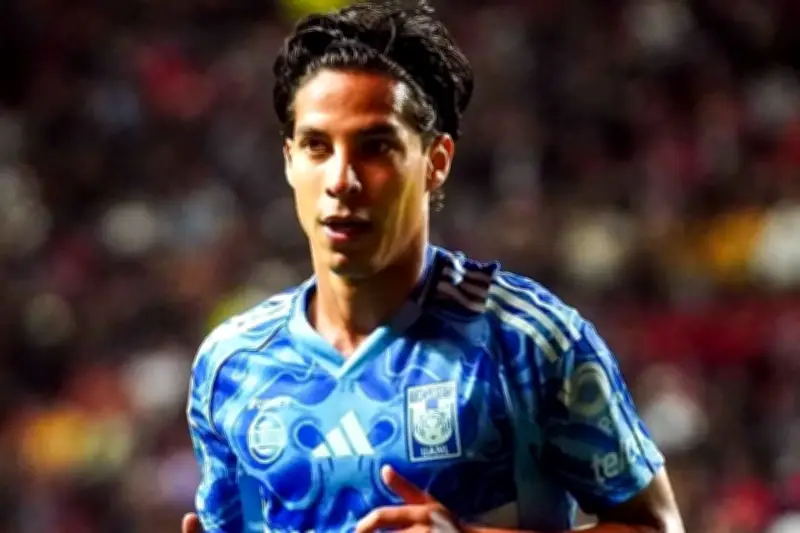 Ganar es obligación para Tigres en la Liga MX