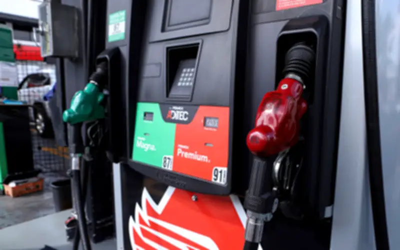 Gasolina roja o verde: expertos desmitifican cómo ahorrar combustible realmente