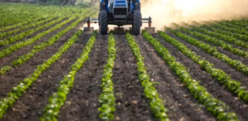 GCMA acusa pasividad en agro ante barreras de EU a ganado, jitomate y fresa