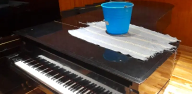 Goteras en Conservatorio Nacional: alumnos piden inspección urgente de Protección Civil