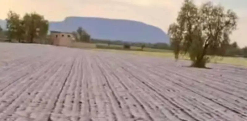 Granizadas y lluvias intensas devastan cultivos y provocan deslaves en Hidalgo