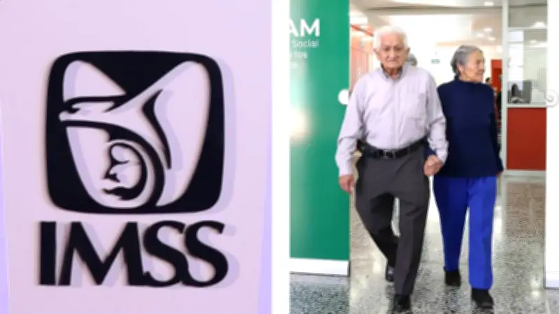 Guía rápida de edades, porcentajes y beneficios de la pensión Ley 73 IMSS