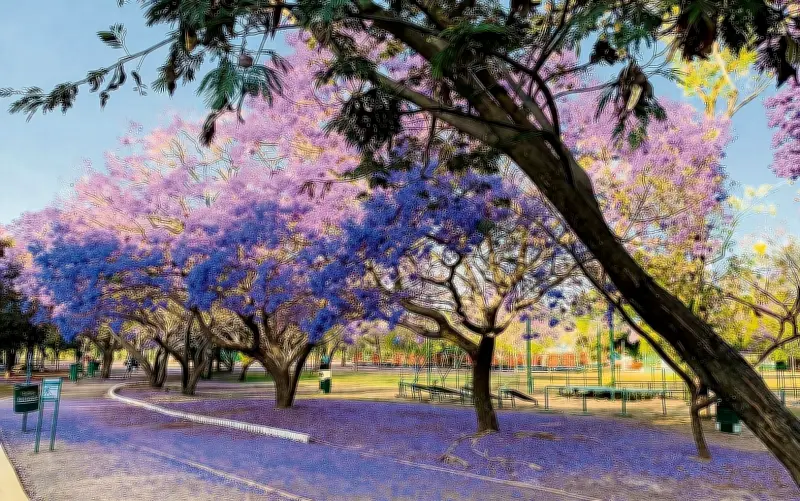 Guadalajara florece: Primavera une naturaleza y cultura en parques y nueva ruta escultórica