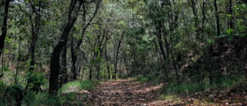 Guadalajara ofrece 13 bosques urbanos gratuitos para vacaciones de Semana Santa