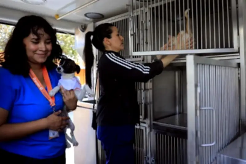 Guadalupe adquiere unidad veterinaria móvil para mascotas