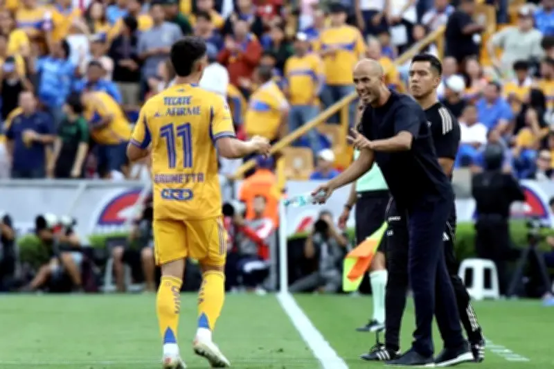 Guido, el gato que se volvió viral por su respuesta a AMLO, agrada a las redes