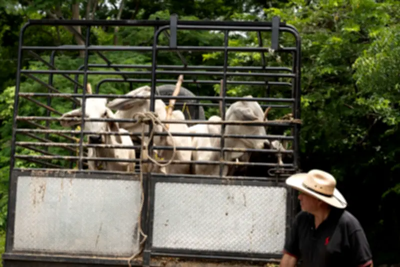 Gusano Barrenador Infesta Municipios de Morelos; Sector Ganadero Reporta Casos Adicionales