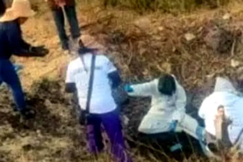 Hallan 20 cuerpos en fosas clandestinas en Guanajuato; autoridades investigan