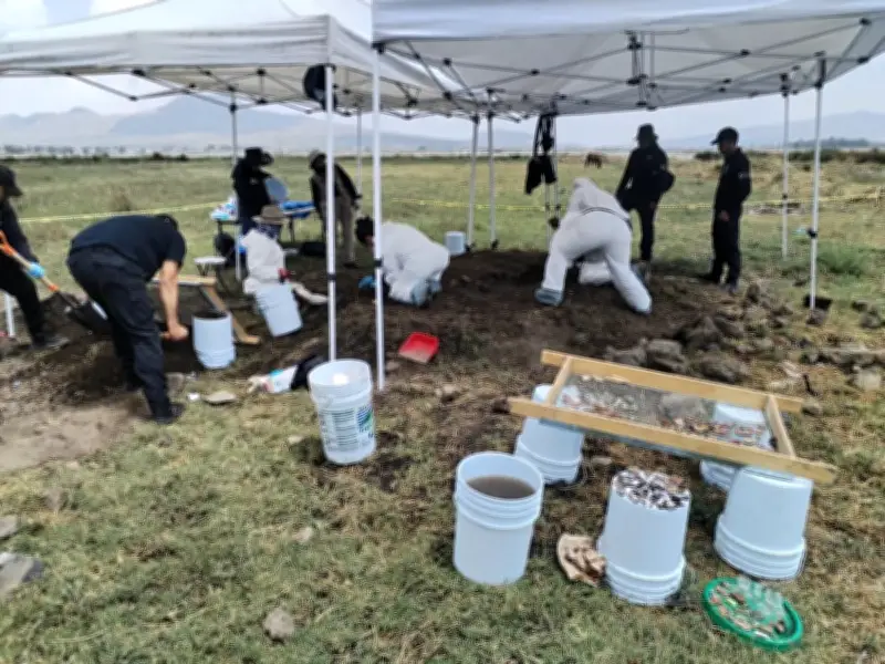 Hallan 219 restos óseos en lagunas de La Habana durante jornada de búsqueda en Chalco y Tláhuac