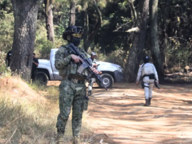 Hallan campo de exterminio con 8 cráneos en Reynosa; colectivo denuncia hallazgos recurrentes