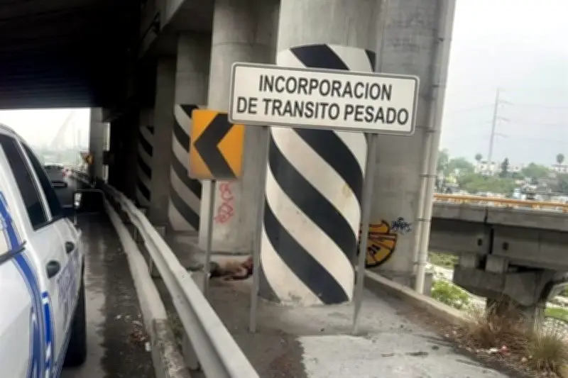 Hallan cuerpo sin vida junto al Bulevar Díaz Ordaz en San Pedro Garza García