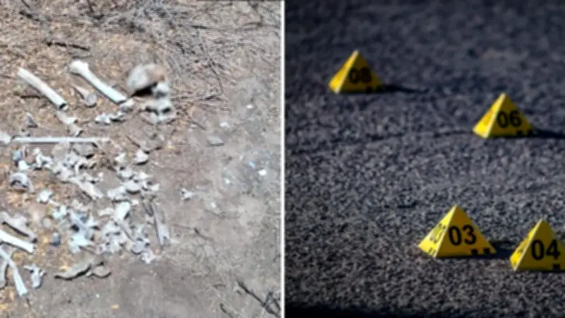 Hallan ocho cráneos y restos calcinados en Reynosa; colectivo alerta sobre posible zona de exterminio